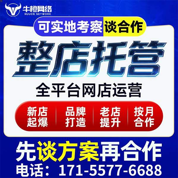 浏阳电商代运营