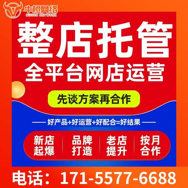 浏阳电商代运营