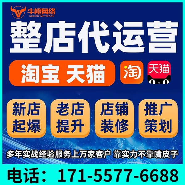 浏阳电商代运营