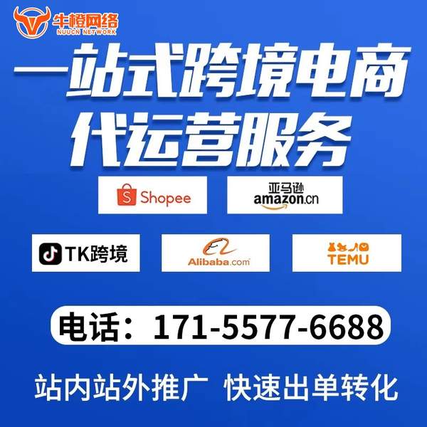 浏阳电商代运营
